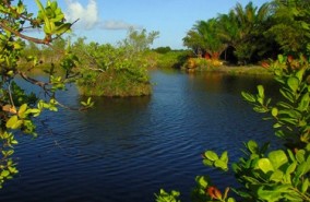 Pantanal