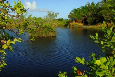 Pantanal