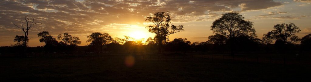 Pantanal